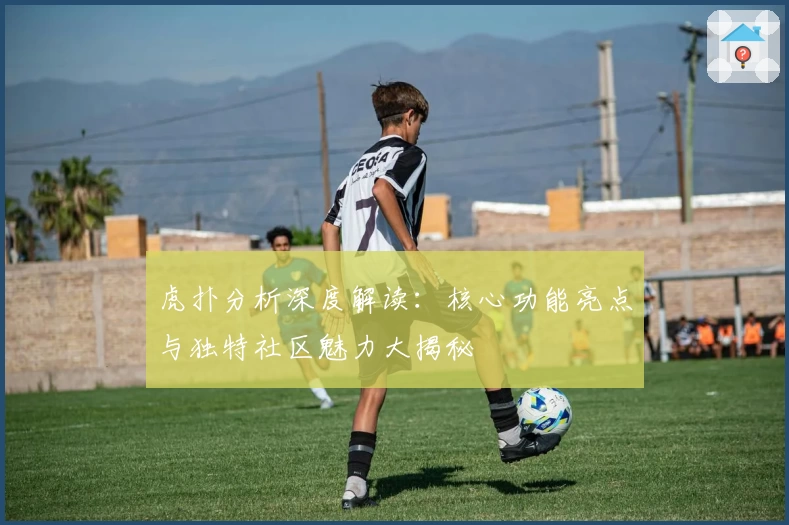 虎扑分析深度解读：核心功能亮点与独特社区魅力大揭秘