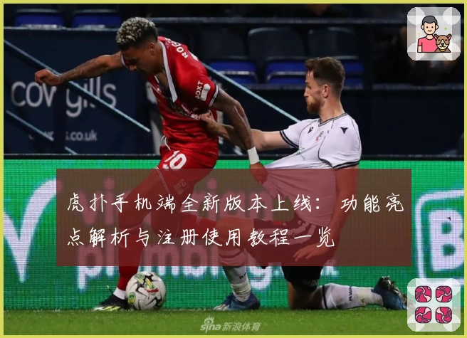 虎扑手机端全新版本上线：功能亮点解析与注册使用教程一览