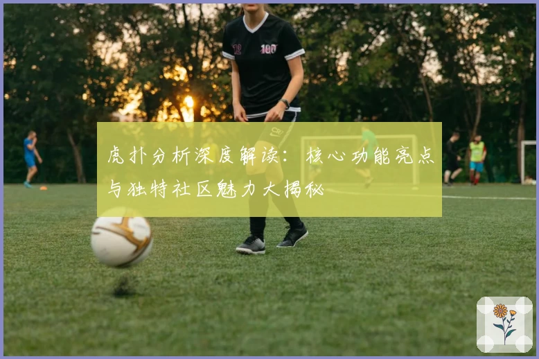 虎扑分析深度解读：核心功能亮点与独特社区魅力大揭秘