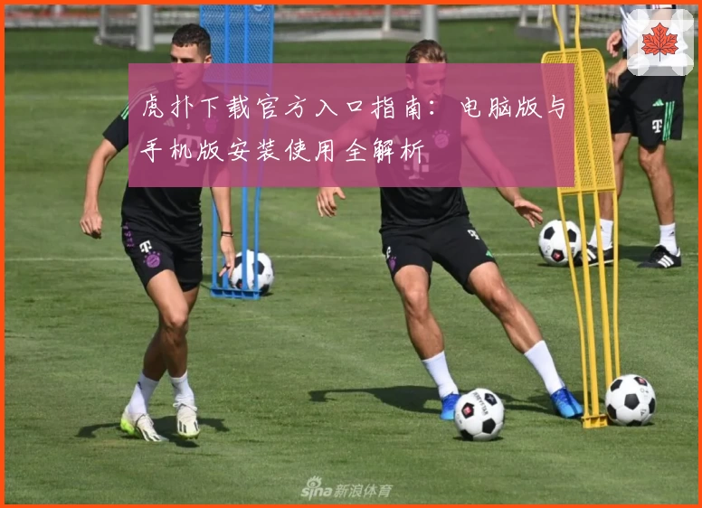 虎扑下载官方入口指南：电脑版与手机版安装使用全解析